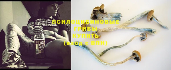 PSILOCYBIN Зеленокумск